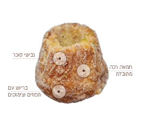 דנון קוגלהוף